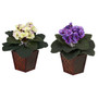 Nearly Natural 6685 African Violet Set of 2 Plant in Pot (65dd057fe8837636b11a7f79_ud)