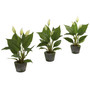 Nearly Natural 4974 Spathyfillum Set of 3 Plant in Planter (65dd05b8e8837636b11a8139_ud)