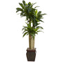 Nearly Natural 6670 Cornstalk Draceana with Vase 4.5-Feet Green (65dd05b8e8837636b11a8151_ud)
