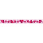 Barker Creek Multi-Color Double Sided Trim,  Hearts and Clover, 12/Pack (65dd08d2e8837636b11aa13a_ud)
