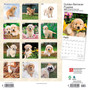 2024 BrownTrout Golden Retriever Puppies 12" x 12" Monthly Wall Calendar (9781975462901)