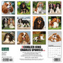 2024 Willow Creek Just Cavalier King Charles Spaniels 12" x 12" Monthly Wall Calendar, Multicolor (32947)