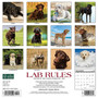 2024 Willow Creek Lab Rules 12" x 12" Monthly Wall Calendar, Multicolor (34200)