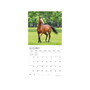 2023-2024 Plato Magnificent Horses 12" x 12" Academic & Calendar Monthly Wall Calendar (9781975467173)