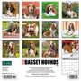 2024 Willow Creek Just Basset Hounds 12" x 12" Monthly Wall Calendar, Multicolor (32312)