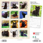 2024 BrownTrout Black Cats 12" x 12" Monthly Wall Calendar (9781975461805)