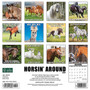 2024 Willow Creek Horsin’ Around 12" x 12" Monthly Wall Calendar, Multicolor (33982)