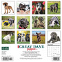 2024 Willow Creek Just Great Dane Puppies 12" x 12" Monthly Wall Calendar, Multicolor (33777)