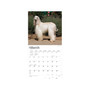 2024 BrownTrout Afghans 12" x 12" Monthly Wall Calendar (9781975470616)