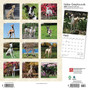 2024 BrownTrout Italian Greyhounds 12" x 12" Monthly Wall Calendar (9781975470708)