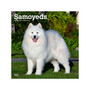 2024 BrownTrout Samoyeds 12" x 12" Monthly Wall Calendar (9781975464868)