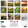2024 Willow Creek Vineyards 12" x 12" Monthly Wall Calendar, Multicolor (37751)