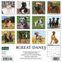 2024 Willow Creek Just Great Danes 12" x 12" Monthly Wall Calendar, Multicolor (33784)