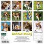2024 Willow Creek Beagle Rules 12" x 12" Monthly Wall Calendar, Multicolor (32350)
