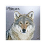 2024 BrownTrout Wolves 12" x 12" Monthly Wall Calendar (9781975465780)