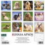 2024 Willow Creek Just Lhasa Apsos 12" x 12" Monthly Wall Calendar, Multicolor (34255)