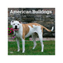 2024 BrownTrout American Bulldogs 12" x 12" Monthly Wall Calendar (9781975470623)