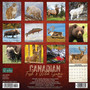 2024 Willow Creek Canadian Fish & Wild Game 12" x 12" Monthly Wall Calendar, Multicolor (32824)