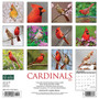 2024 Willow Creek Cardinals 12" x 12" Monthly Wall Calendar, Multicolor (32848)
