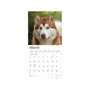2024 BrownTrout Alaskan Malamutes 12" x 12" Monthly Wall Calendar (9781975457563)