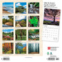 2024 BrownTrout North Carolina Wild & Scenic 12" x 12" Monthly Wall Calendar (9781975464318)