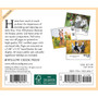 2024 Willow Creek What Horses Teach Us 6" x 5.5" Daily Day-to-Day Calendar, Multicolor (36617)