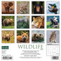 2024 Willow Creek Wildlife 12" x 12" Monthly Wall Calendar, Multicolor (37768)