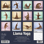 2024 Willow Creek Llama Yoga 12" x 12" Monthly Wall Calendar, Multicolor (34316)