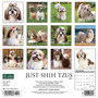 2024 Willow Creek Just Shih Tzus 12" x 12" Monthly Wall Calendar, Multicolor (35368)