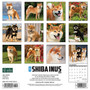 2024 Willow Creek Press Just Shiba Inus Wall Calendar 12" x 12" (35344)