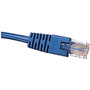 Tripp Lite TRPN002003BL 3' CAT-5e Molded Patch Cable, Blue (65dd11fde8837636b11accc0_ud)