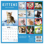 2024 TF Publishing 7" x 7" Kittens Mini Calendar (24-2010)