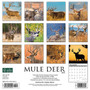2024 Willow Creek Press Mule Deer Wall Calendar 12" x 12" (34552)