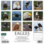 2024 Willow Creek Eagles 12" x 12" Monthly Wall Calendar, Multicolor (33418)
