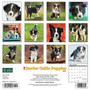 2024 Willow Creek Press Just Border Collie Puppies Wall Calendar 12" x 12" (32572)