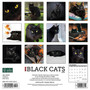 2024 Willow Creek Black Cats 12" x 12" Monthly Wall Calendar, Multicolor (32510)