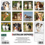 2024 Willow Creek Just Australian Shepherds 12" x 12" Monthly Wall Calendar, Multicolor (32220_1)