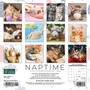 2024 Willow Creek Naptime Cats and Kittens 7" x 7" Monthly Wall Calendar, Multicolor (36853)