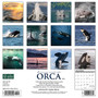 2024 Willow Creek Orca (Journey With the) 12" x 12" Monthly Wall Calendar, Multicolor (34750)