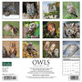 2024 Willow Creek Owls 12" x 12" Monthly Wall Calendar, Multicolor (34774)