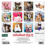 2024 Willow Creek Press Chihuahua Rules 2024 Mini Wall Calendar 7" x 7" (36709)