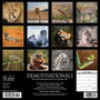 2024 Willow Creek Press Demotivationals Wall Calendar 12" x 12" (33340)