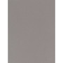Canson Mi-Teintes Mat Board Flannel Gray 16 In. X 20 In. [Pack Of 5] (5PK-100510137)