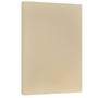 JAM Paper Vellum Bristol Cardstock Paper, 67 lbs., 11" x 17", Tan, 50 Sheets/Pack (16932840)