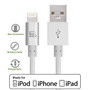 LAX Apple MFi Certified Lightning to USB Cable for Charge Sync 6ft, Silver (65dd16b8e8837636b11ae842_ud)