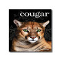 Domtar Cougar® 11" x 17" 70 lbs. Digital Smooth Laser Paper, White, 2000/Case (65dd1f20e8837636b11b423d_ud)