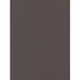 Canson Mi-Teintes Mat Board Dark Gray 16 In. X 20 In. [Pack Of 5] (5PK-100510125)