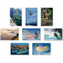 North Star Teacher Resources Bulletin Board Set, Extreme Motivators (65dd23efe8837636b11b6df4_ud)