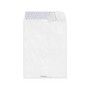 LUX 9 1/2 x 12 1/2 Open End Envelopes 50/Pack, 14lb. Tyvek (75894-50)