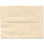 JAM Paper A2 Parchment Invitation Envelopes, 4.375 x 5.75, Natural Recycled, 50/Pack (34777I)